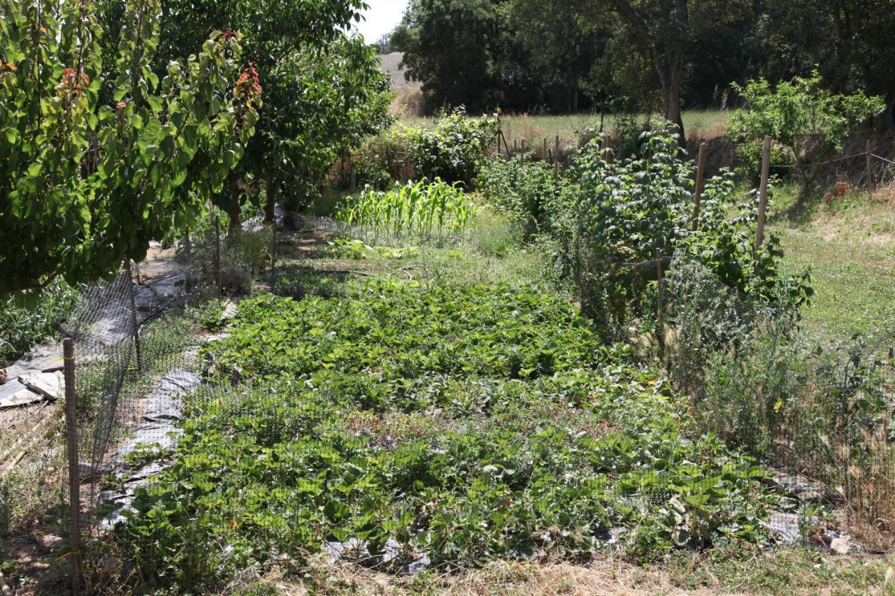Can Cabanyes Llagostera Esterno foto